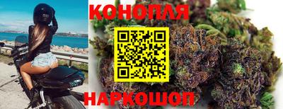 a pvp Тула
