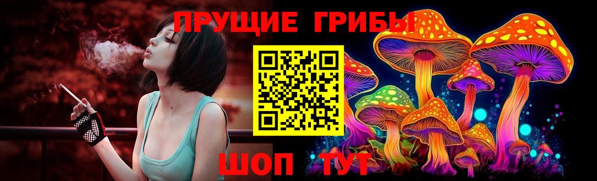 Псилоцибиновые грибы прущие грибы Муравленко